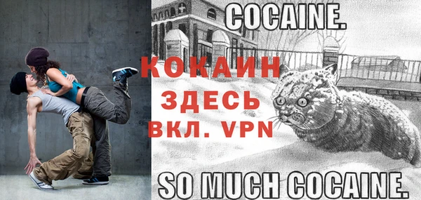 тгк Арсеньев