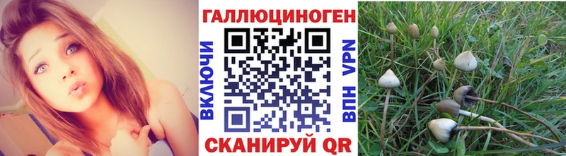 цена наркотик Магадан Псилоцибиновые грибы ЛСД